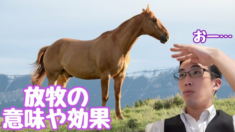 馬の牧草地のいじめっ子に対処する方法